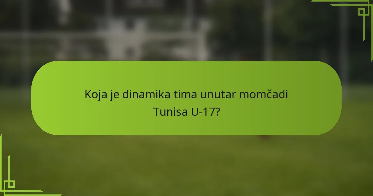 Koja je dinamika tima unutar momčadi Tunisa U-17?