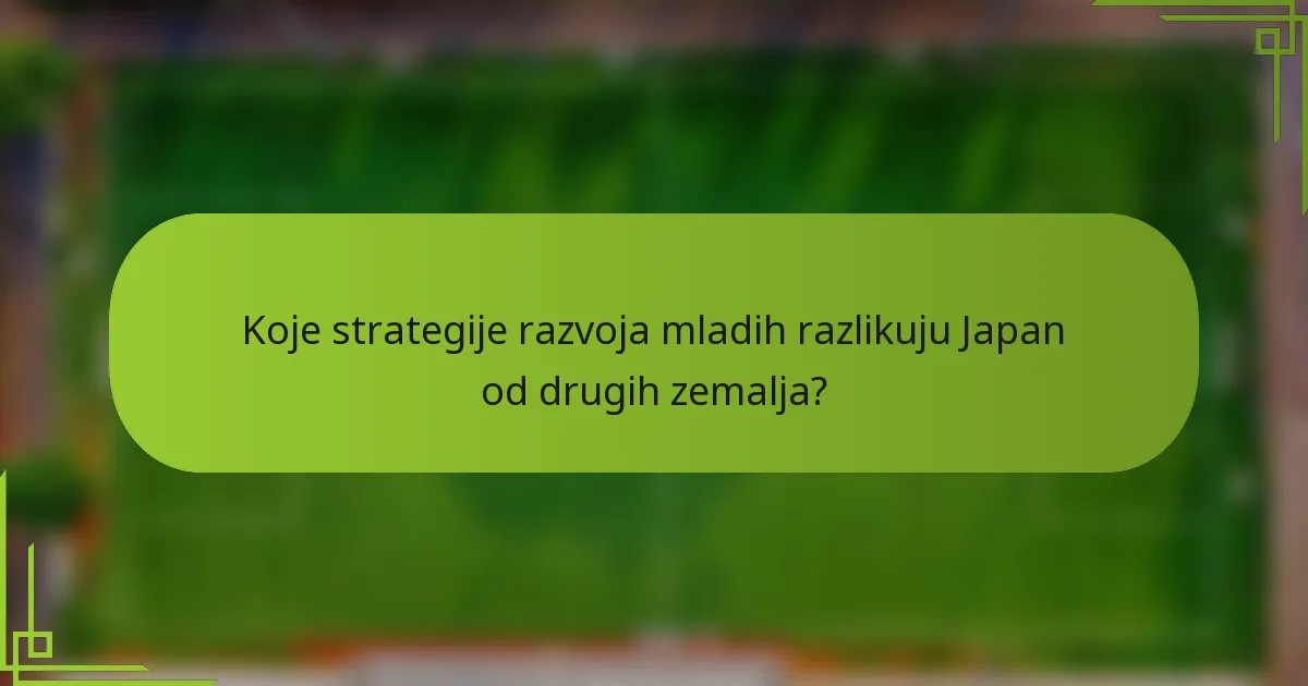 Koje strategije razvoja mladih razlikuju Japan od drugih zemalja?